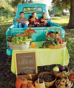 Rural Jobs: Make a Living in Your Rural Community or from a Homestead Business Image
